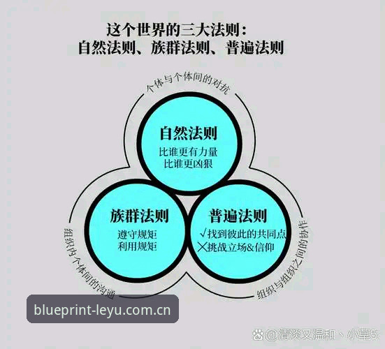 看懂K8X CN赛事数据推荐的4个底层逻辑：为什么有些人总能快一步
